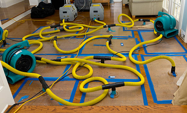 Professional Storm Water Damage Restoration technician working in Morrow, OH